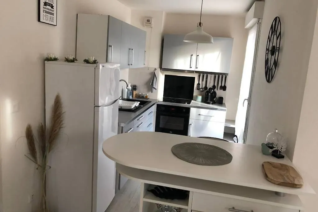 Appartement Cosy Avec Jardin A Blagnac. Blagnac