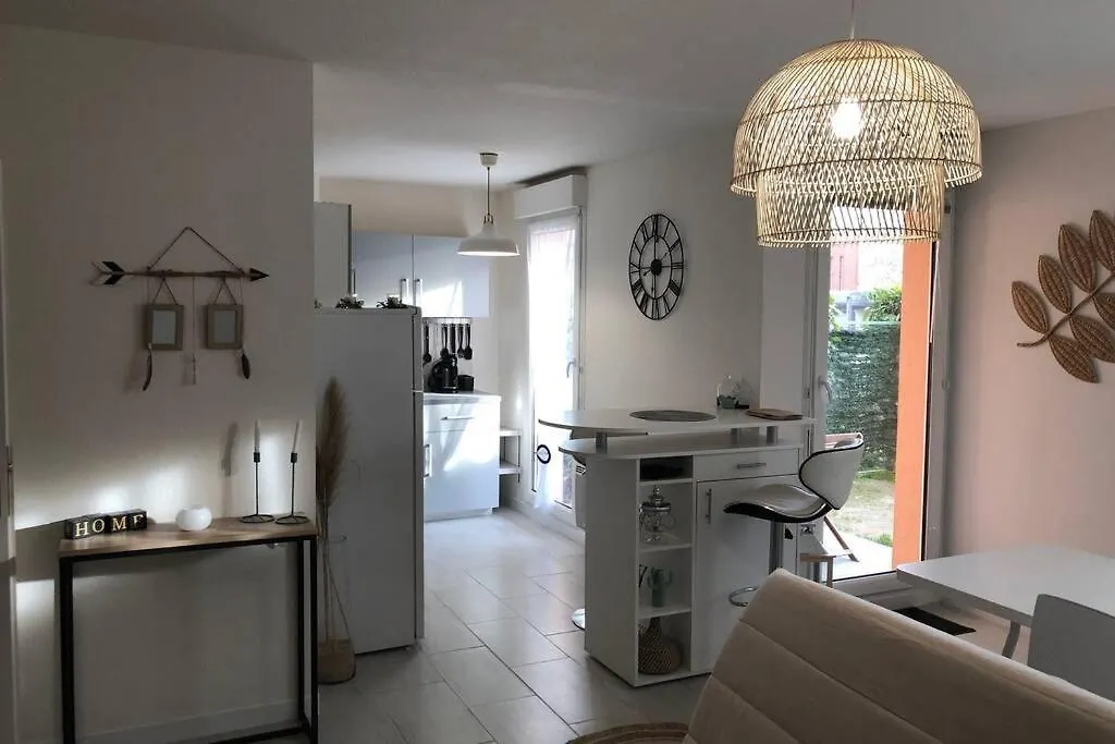 Appartement Cosy Avec Jardin A Blagnac.