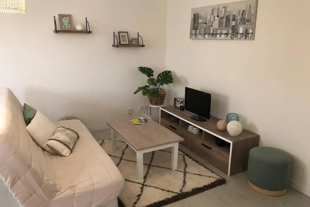 Apartment Appartement Cosy Avec Jardin A Blagnac.